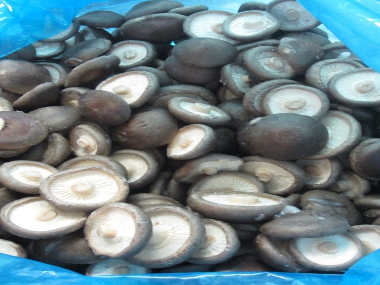 IQF Blanched Shiitake Mushroom