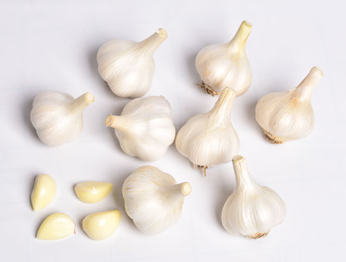 Organic Garlic