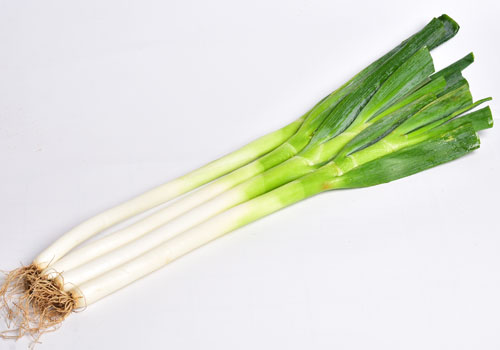 Leek