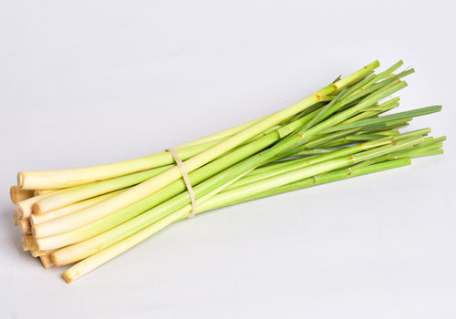 Lemon Grass