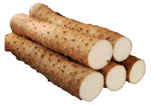 Chinese Yam