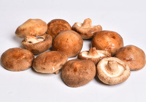 Shiitake Mushrrom