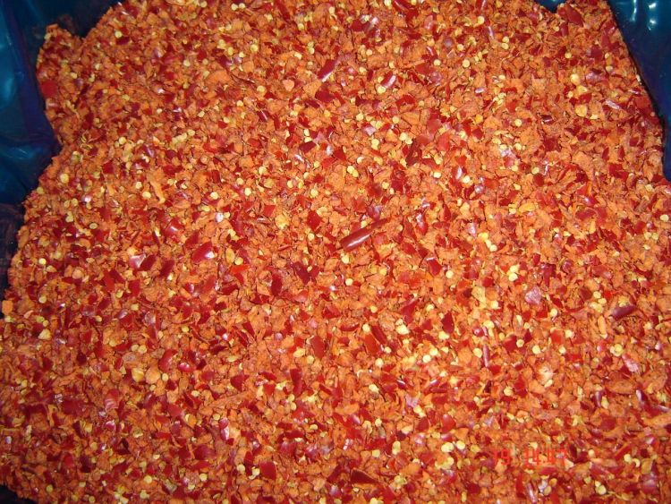 IQF Minced Red Chili