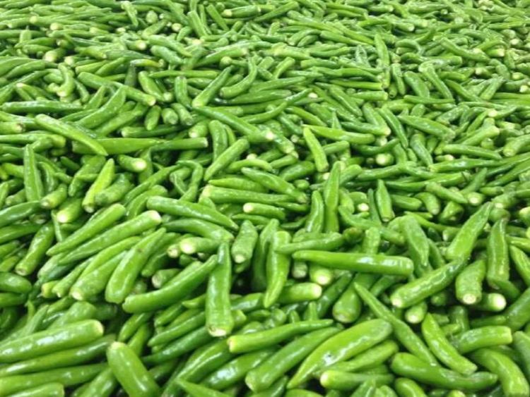 IQF Green Chili Whole