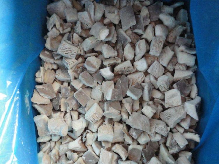 IQF Oyster Mushroom Diced