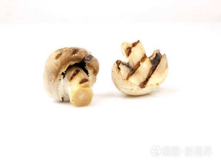 IQF Fire Roasted Agaricus Bisporus Whole