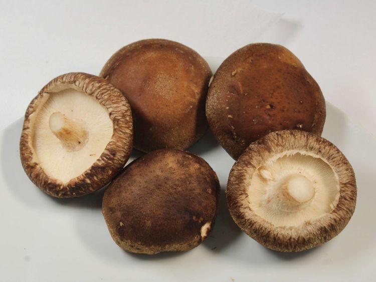 IQF Unblanched Shiitake Mushroom