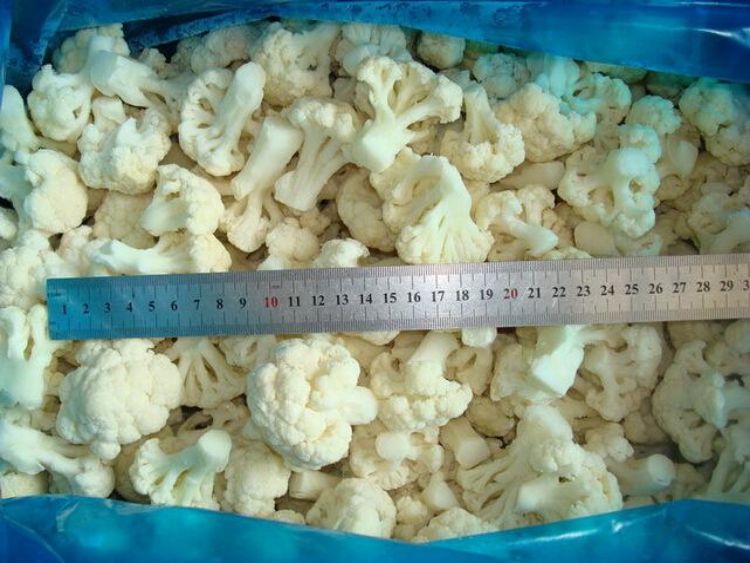 IQF Cauliflower Florets