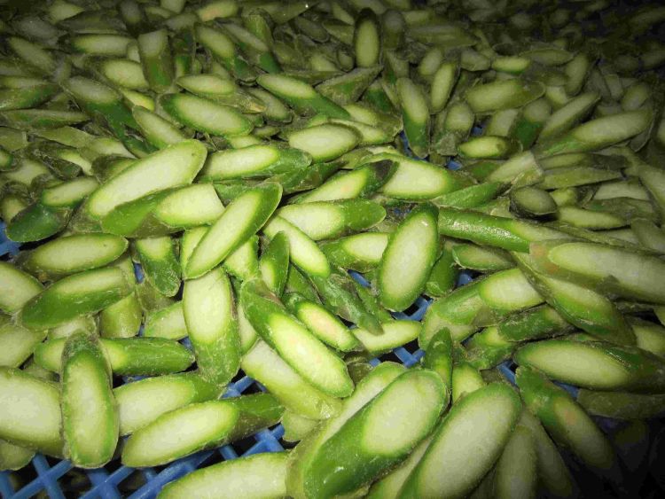 IQF Green Asparagus  Bevelled Slices