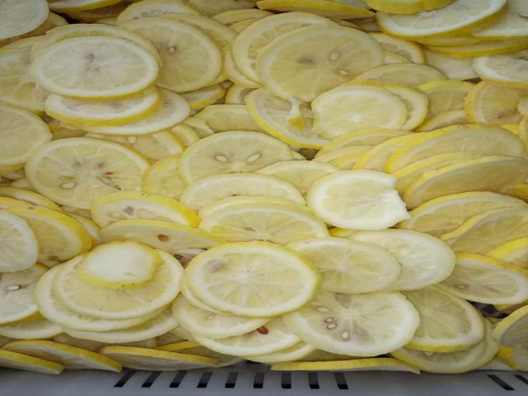 IQF Lemon Slices
