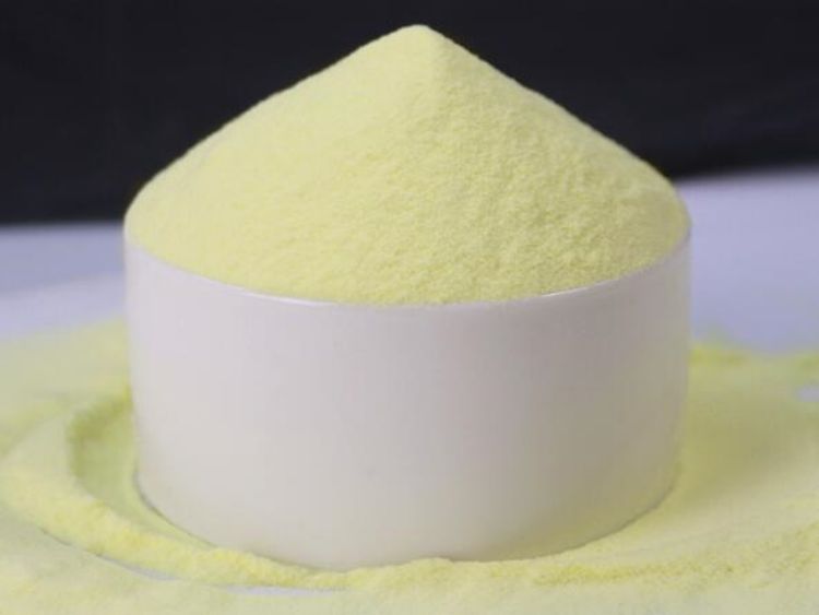 Durian Powder